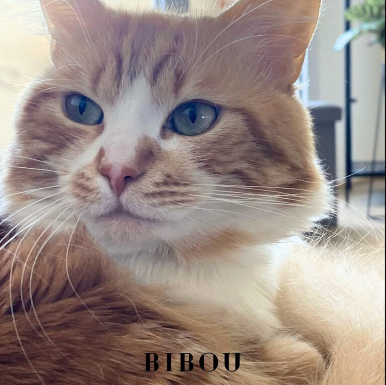 BIBOU